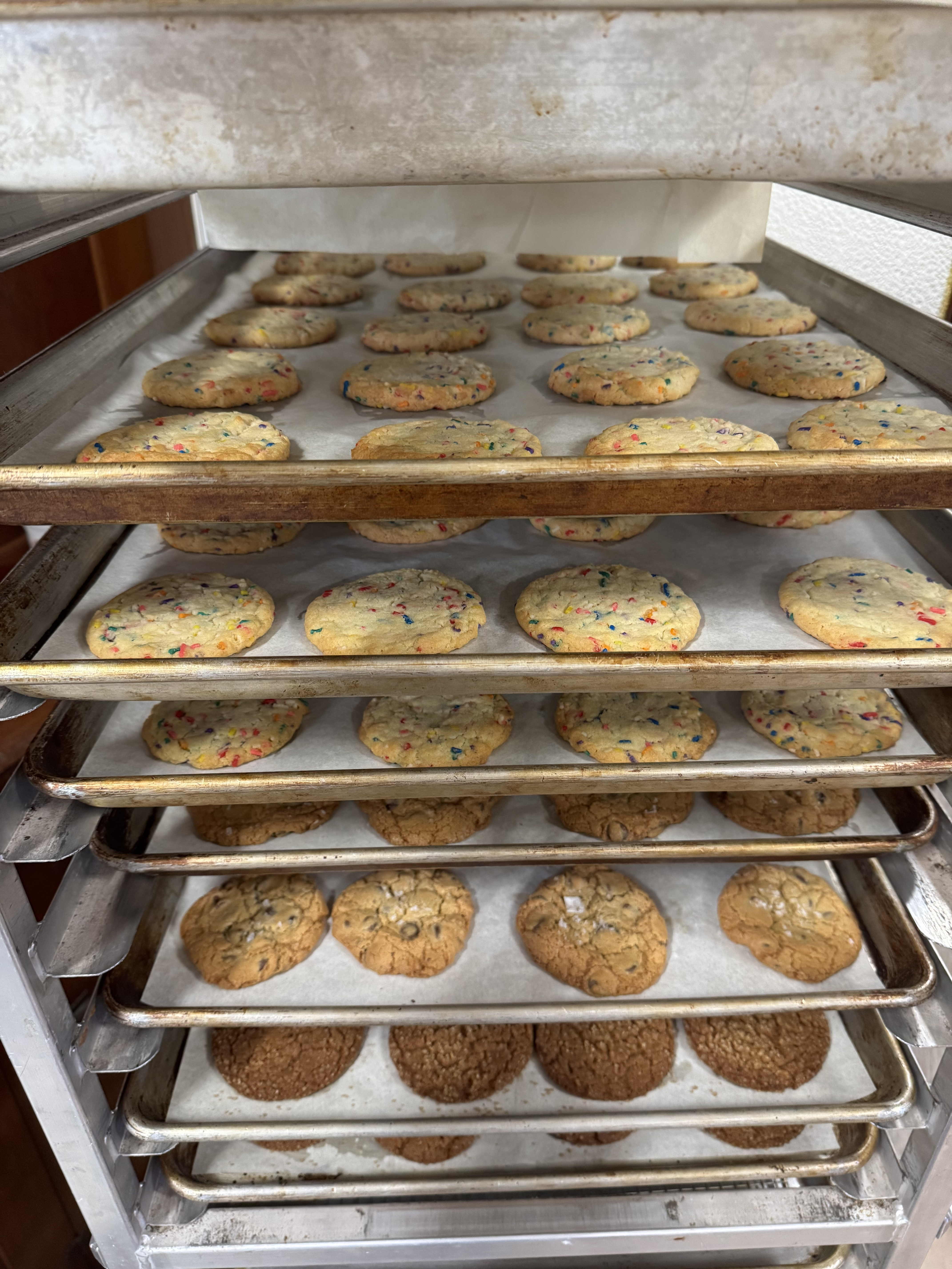 Twin Tide wholesale display case